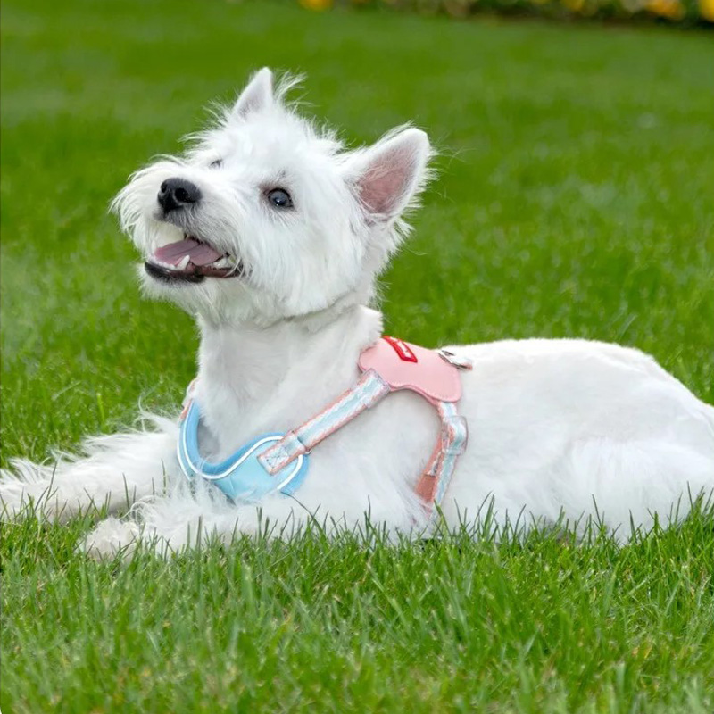 dog pulling harness