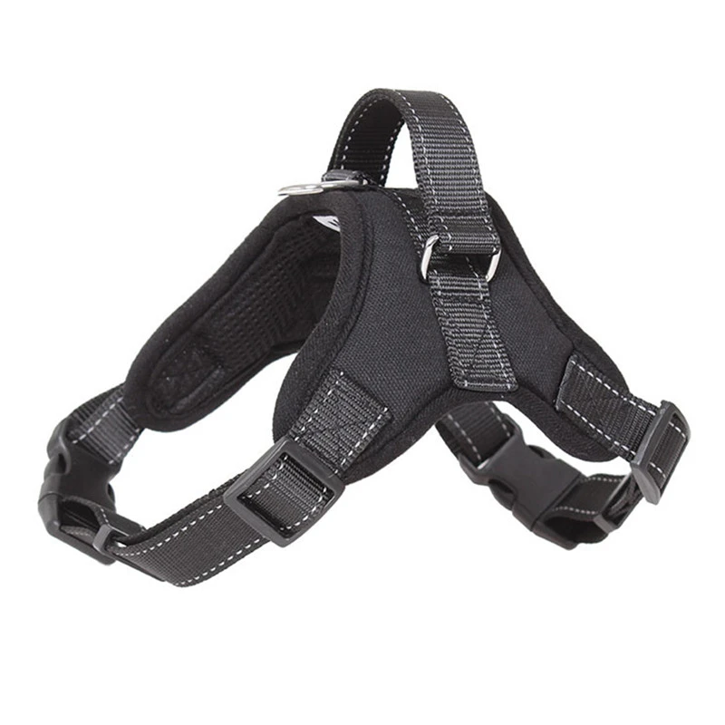 sled dog harness